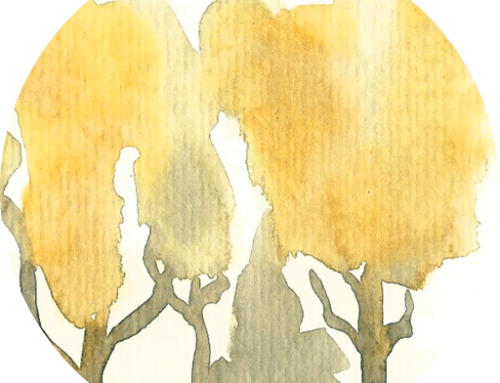 Arbre Patrimoine