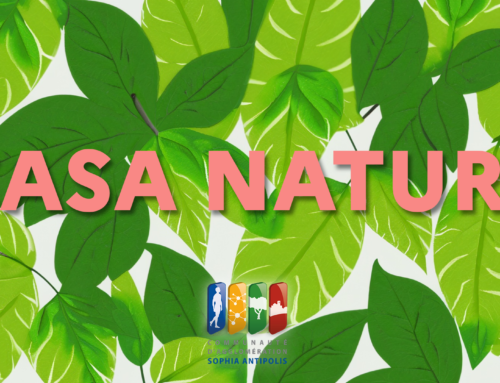 Les activités CASA Nature font leur grand retour !