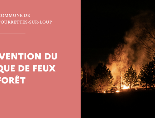 Prévention du risque de feux de forêt