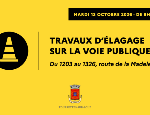 Travaux d&rsquo;élagage sur la voie publique – route de la Madeleine